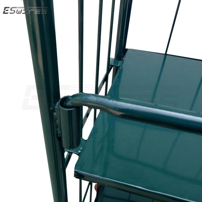 robust roll cages details